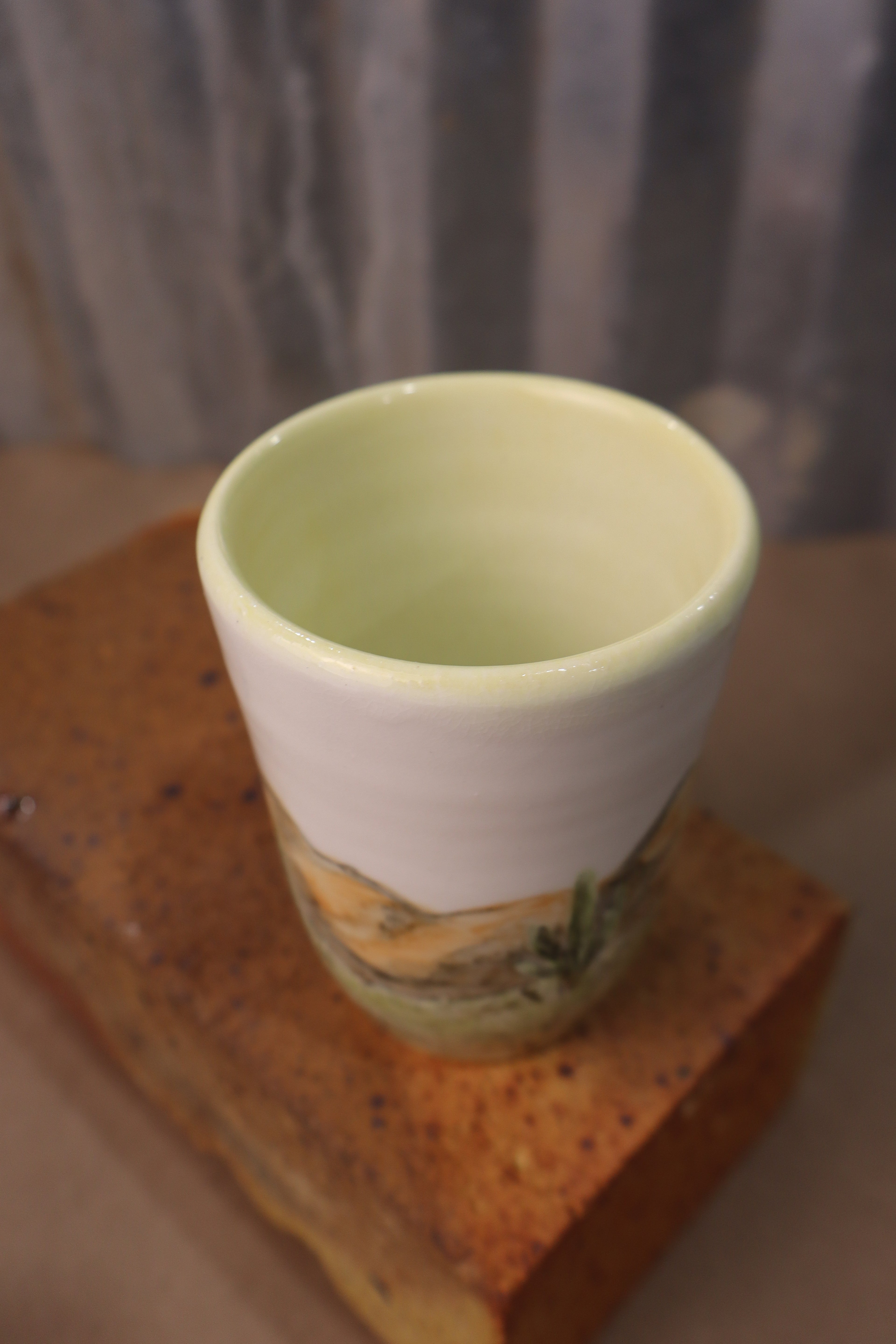 Desert Cactus Cup